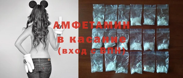 гидра Козловка