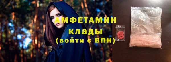 гидра Кодинск