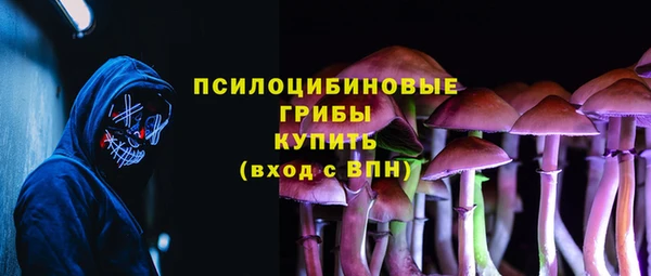 гашиш Бородино
