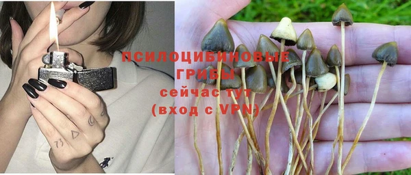 гашиш Бородино