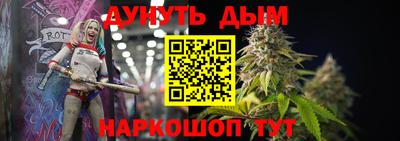 стафф Дубна