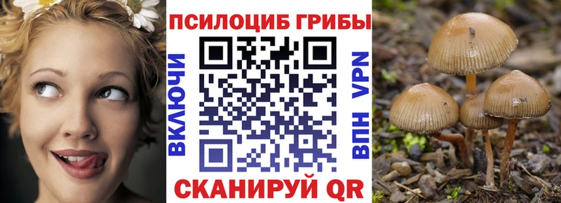 kraken зеркало  как найти закладки  Малоярославец  Псилоцибиновые грибы Psilocybe 
