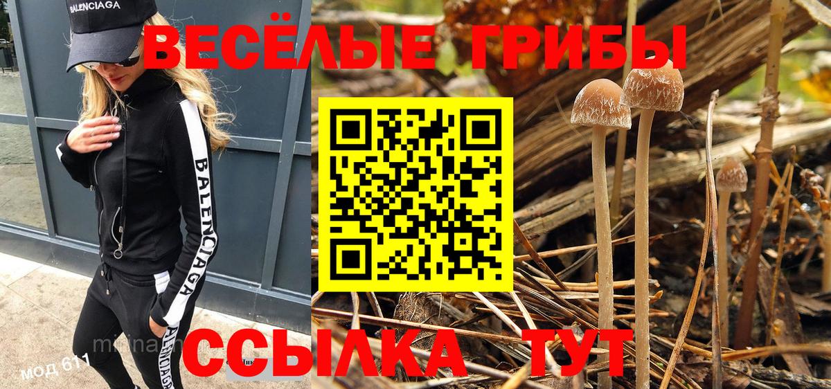 Галлюциногенные грибы Cubensis  продажа наркотиков  Малоярославец 