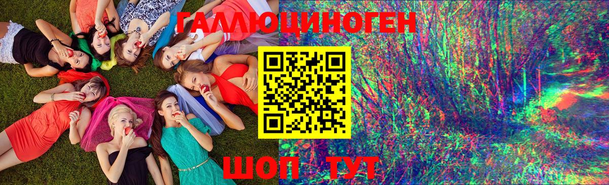 Малоярославец  Псилоцибиновые грибы ЛСД  Вход с VPN 